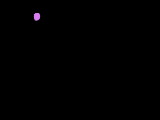 http://www.capriogroup.com/WebStuff/Images/Holidays/Animated-FireworksMultiple.gif