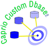 Caprio Group Custom Dbase
