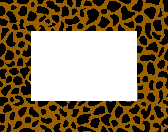 tiger print borders borders zebra print wallpaper border. tiger print borders borders